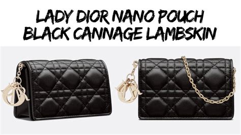 lady dior nano pouch.